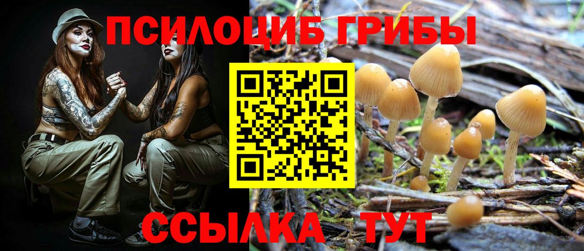 Псилоцибиновые грибы Magic Shrooms  Вход с VPN  Солнечногорск 