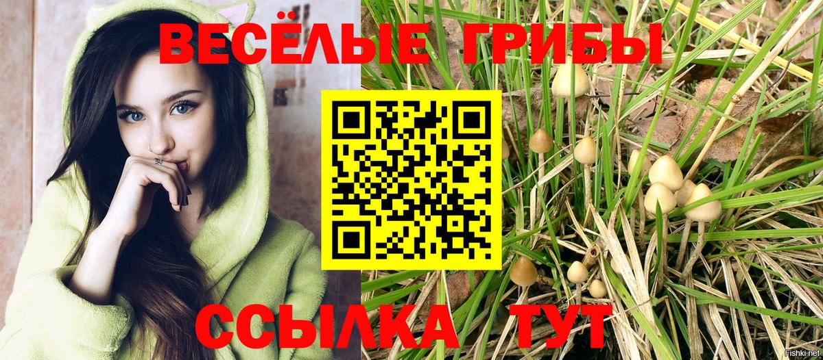 Псилоцибиновые грибы GOLDEN TEACHER Солнечногорск